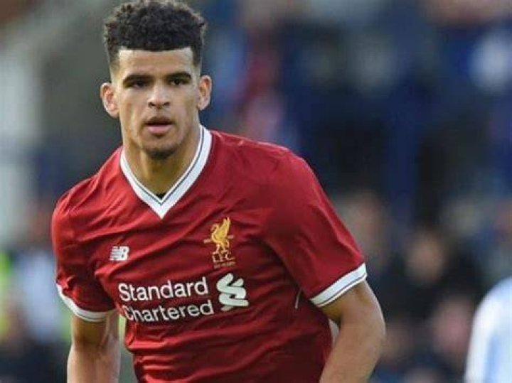 Dominic Solanke Parents, Bio, Height, Weight, Body Measurements » Wikibily