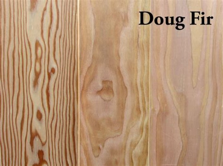 Doug Fir Archives Capitol City Lumber