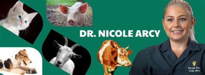 Dr. Nicole Arcy from Dr. Pol secretly married. Here&rsquo;s what we know