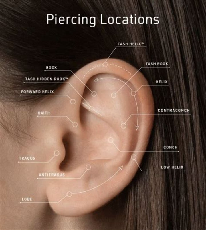 Ear Piercing Edinburgh: Ultimate Guide To Prices And More