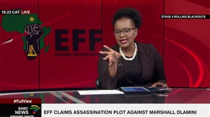EFF claims assassination plot targeting Julius Malema