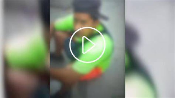 El Patr&oacute;n Video Original Gore El Patr&oacute;n Portal Zacarias Gore Shop Gấu Đ&ocirc;i