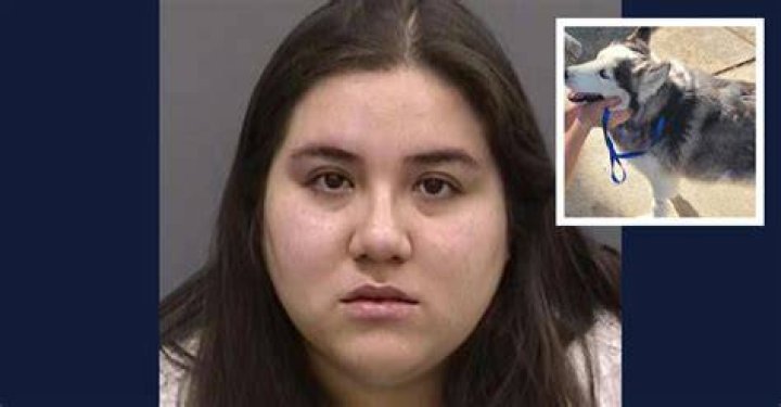 Elizabeth Jaimes beat dog with mallet Sheriff 247 News Around The World