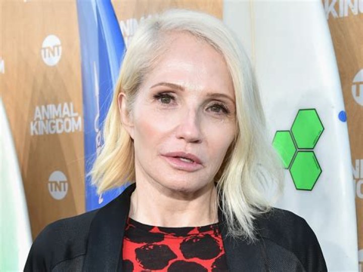 Ellen Barkin Net Worth 2023 Salary Assets House Cars Career