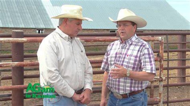 Ernie Rodina and Joe Bichelmeyer YouTube