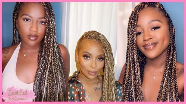 Eva Marcelle Micro Braids Hairstyles, Braided Hairstyles For Black