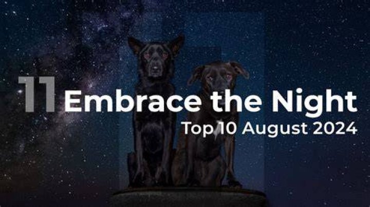 Experience The Night Top 18 Plus Clubs In Chicago