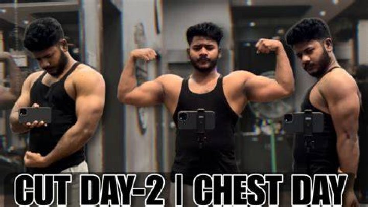 Fall Cut Day 2 Chest Realtime YouTube Live View Counter 🔥 &mdash; Livecounts.io
