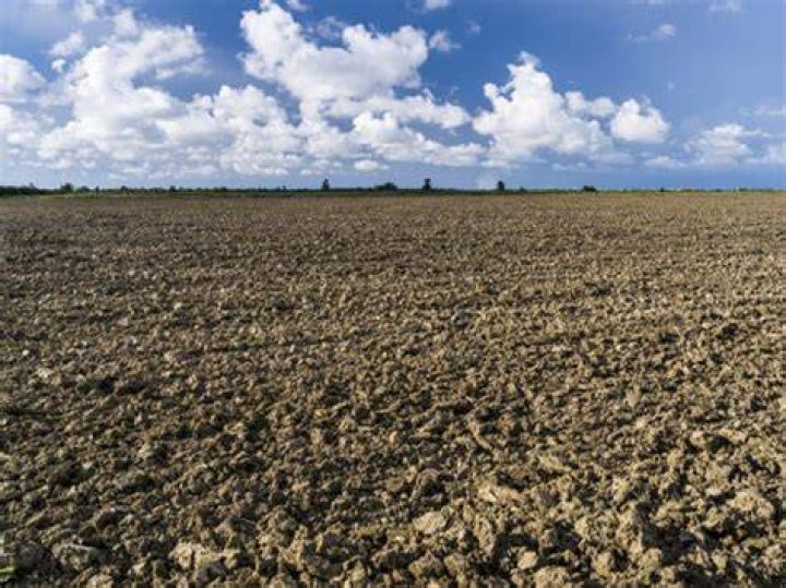 Fallow Ground Benefits of Fallowing Soil