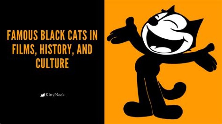 Famous Black Cat Names In Movies Can you name the Animated Disney