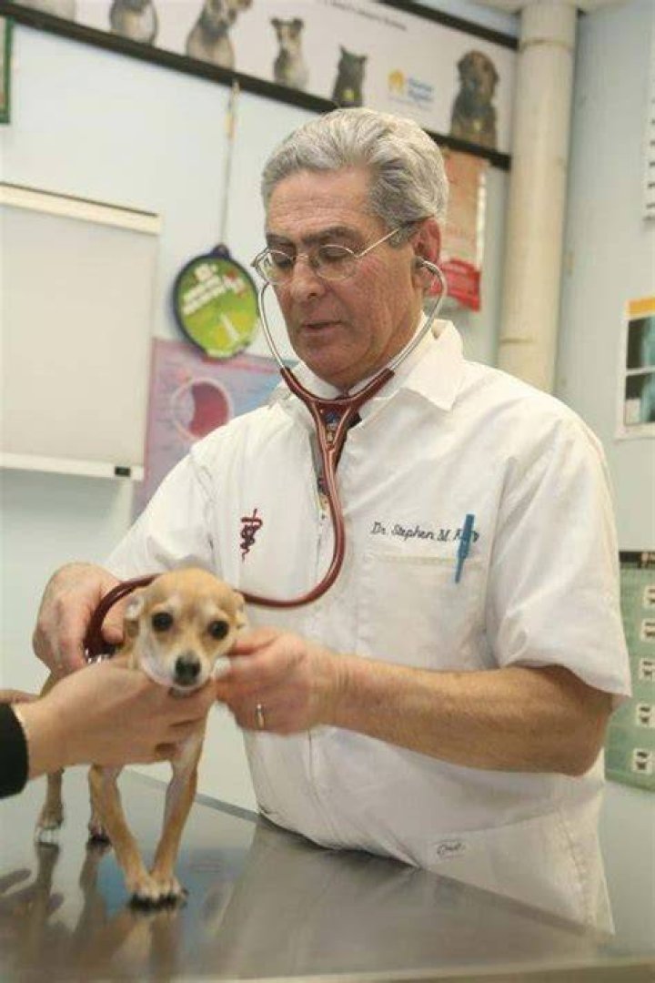 Famous Male Veterinarians List of Top Male Veterinarians