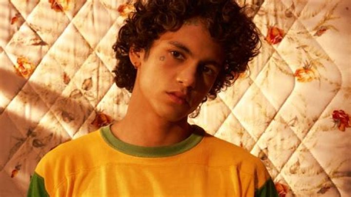 FilAm Artist Dominic Fike Drops LongAwaited Debut Album &lsquo;What Could