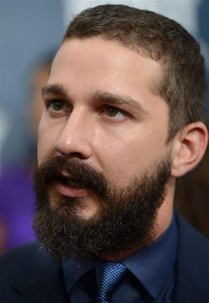 FileShia Labeouf 2014.jpg Wikimedia Commons