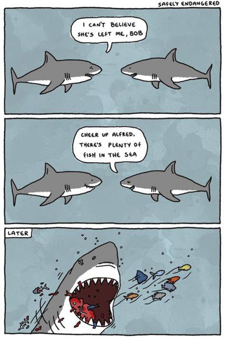 Fish Puns Punpedia