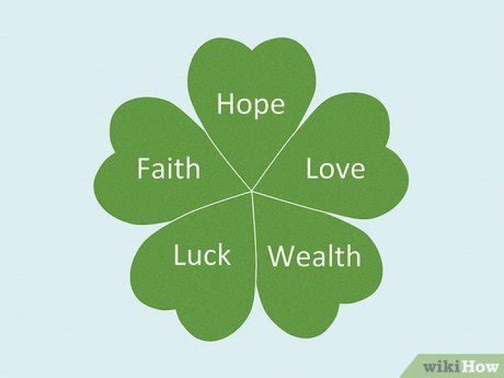 Five Leaf Clover Meaning on