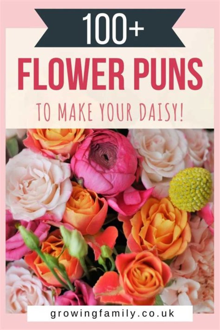 Flower Jokes Puns And One Liners