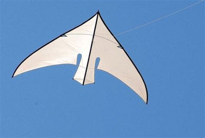 Fly kite saligner Post&eacute;rit&eacute; how to whiten stan smith sole Aiguille