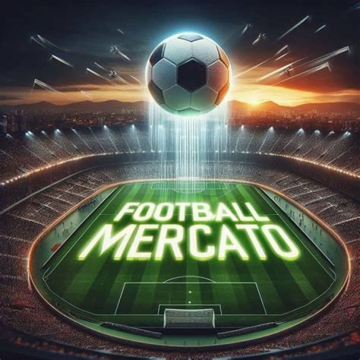 Football f&eacute;minin Mercato. L'ancienne Lyonnaise Amandine Henry en pr&ecirc;t