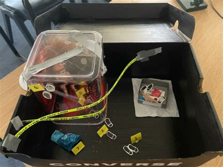Forensics Class Creates Shoebox Crime Scenes Eagle Eye News
