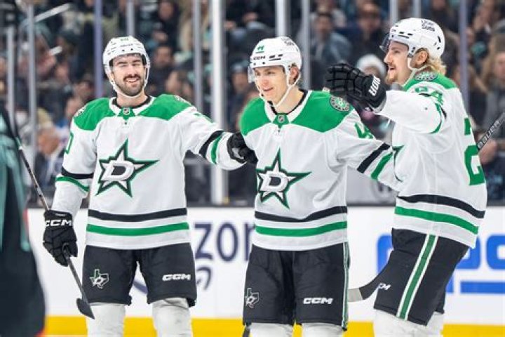 Former Dallas Stars' Center Mike Modano and Wife Willa Ford to Divorce