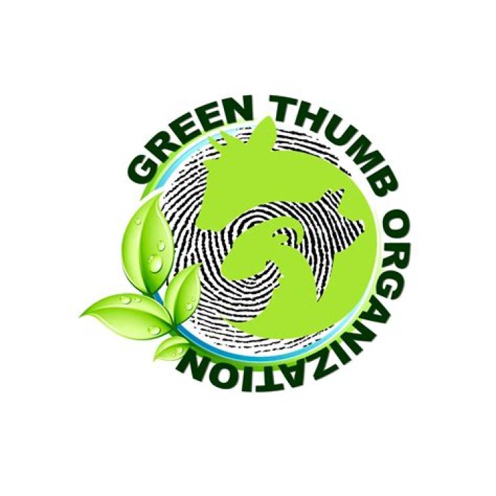 Francesca Rossi Pharmacist Green Thumb Industries (GTI) LinkedIn
