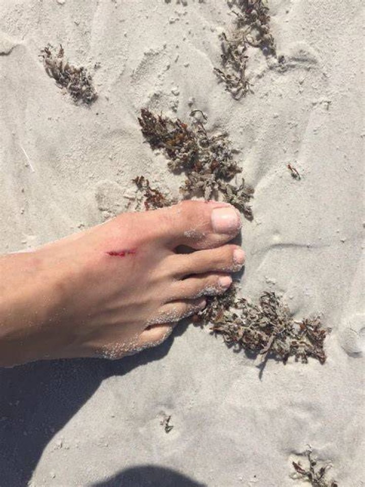 FREDRICKA WHITFIELD Feet AZNudeFeet