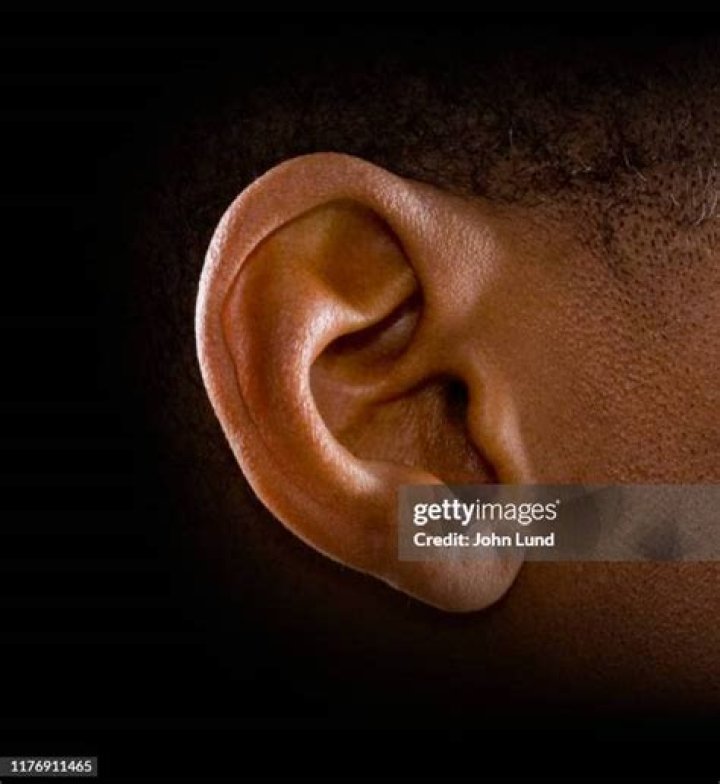 Free Images person, human, ear, lip, eyelash, close up, nose
