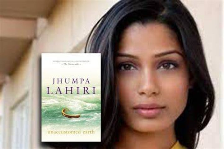 Freida Pinto to Star in Showtime Mini From John Ridley, Idris Elba