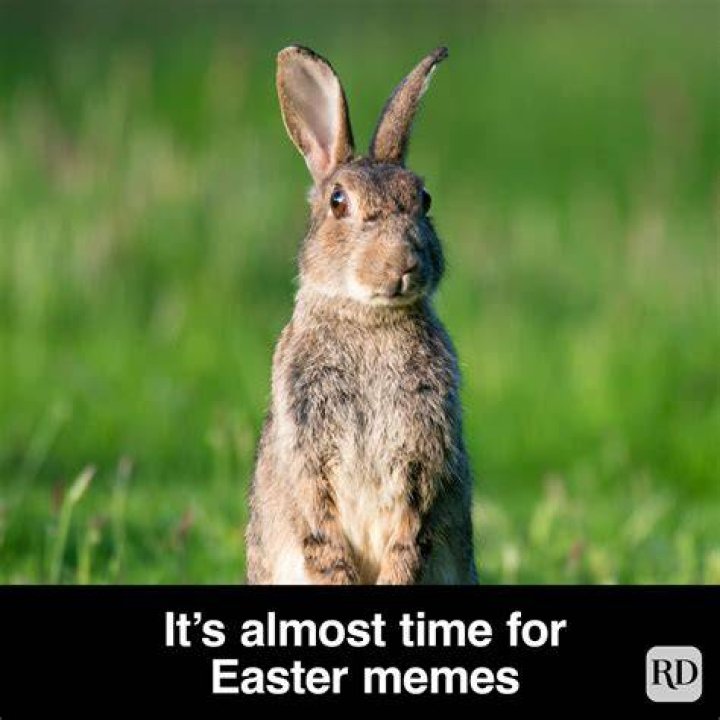 Funny Happy Easter Memes 2021 Easter Bunny Eggs, Religious Memes