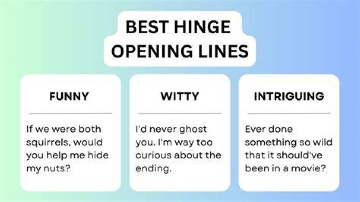 Funny Hinge Opening Lines Of Like Minds
