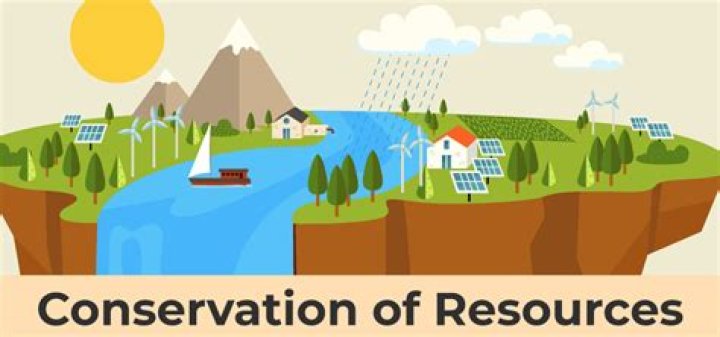 GoI&rsquo;s plan to conserve resources for a future stimulus is self