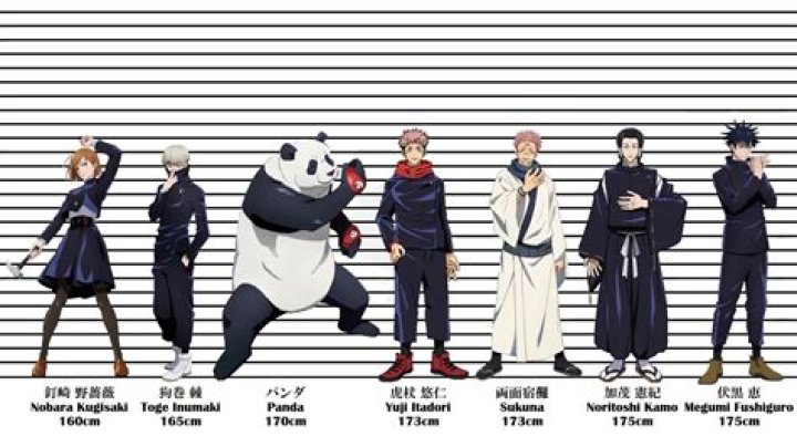 Gojo Jujutsu Kaisen Height