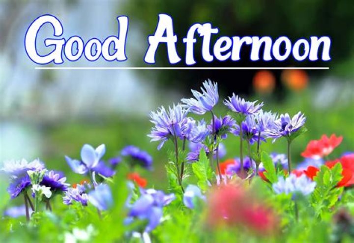 Good Afternoon Pictures, Photos, and Images for Facebook, Tumblr