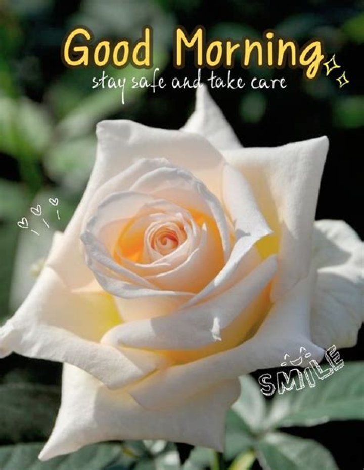 good morning baby..Have a safe trip xoxoxoxoxoxoxoxoxoxoxoxoxoxoxoxoxox