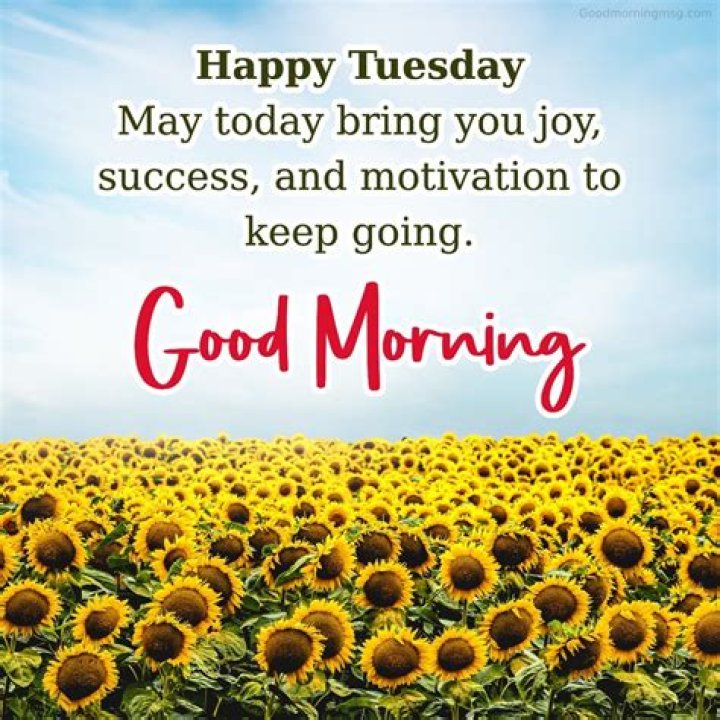Good Morning Happy Tuesday With Autumn Apples Pictures, Photos, and
