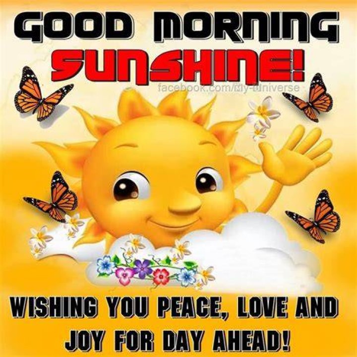 Good Morning Sunshine Quote Pictures, Photos, and Images for Facebook