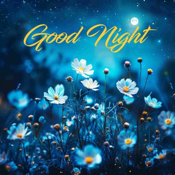 Good Night Images, Photos, Pics & HD Wallpapers Download