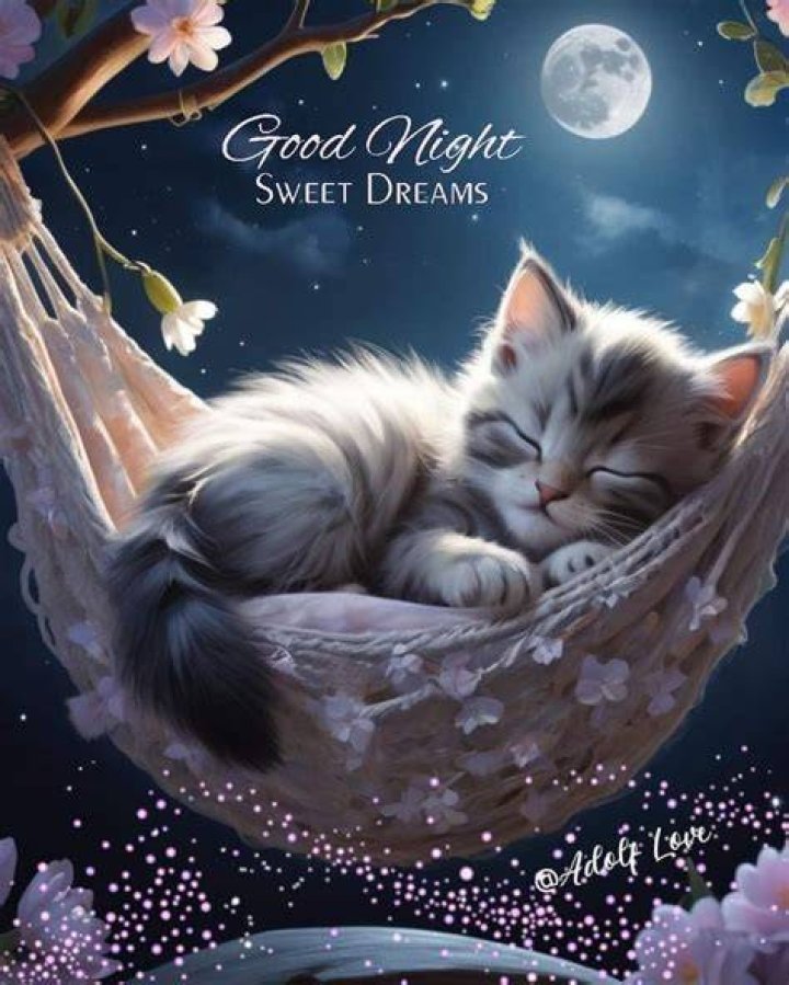 Good Night Love Pictures and Graphics Page 3