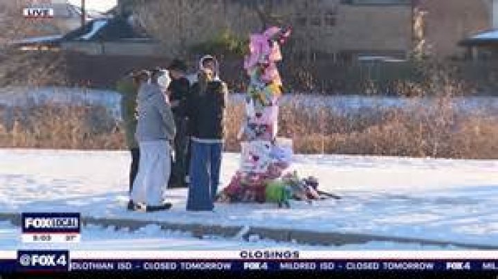 Gracie Heinz Accident Uncovering the Mystery Behind Her Tragic Passing