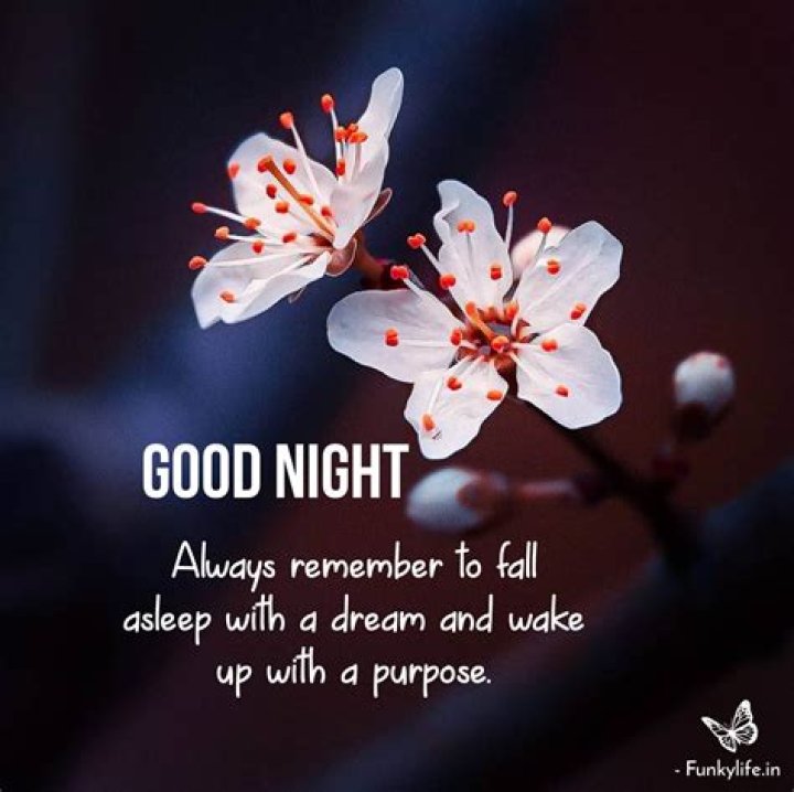 gud nite wallpaper 5173 Good night wallpaper, Beautiful good night