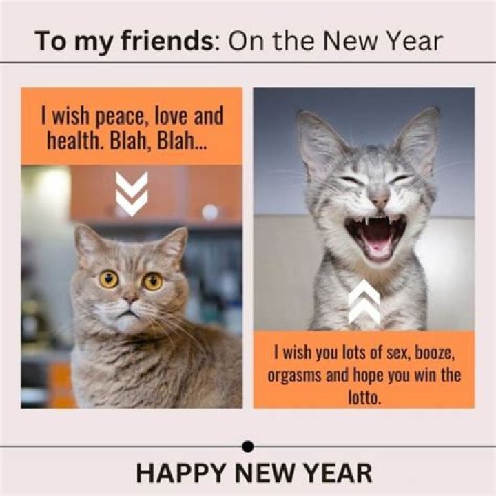 Happy New Year Funny SMS, Wishes & Messages Best Wishes