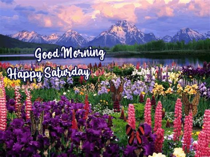 Happy Saturday, Good Morning Pictures, Photos, and Images for Facebook