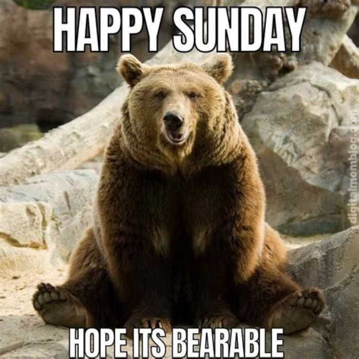Happy Sunday Funny Memes VitalCute
