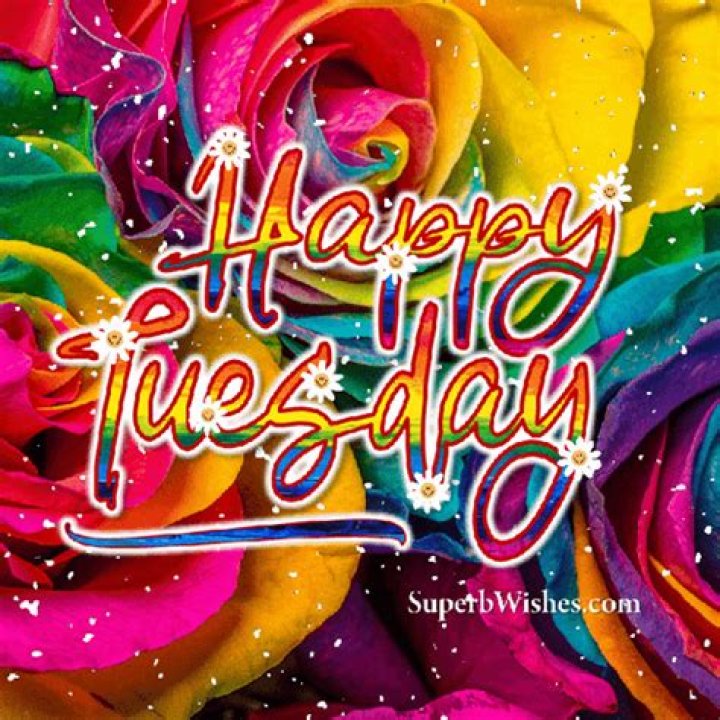 Happy Tuesday Greetings Tuesday greetings, Happy tuesday morning