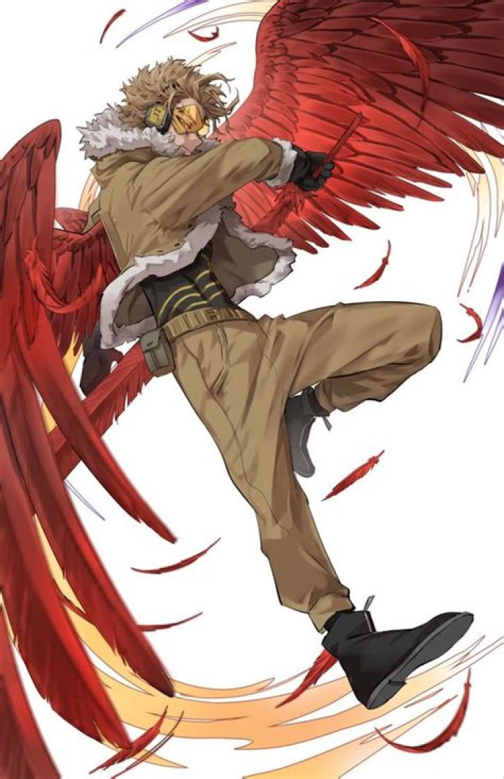 Hawks Kadeart Pin by Adelyn Clary on Hawks in 2020 My hero, Hero