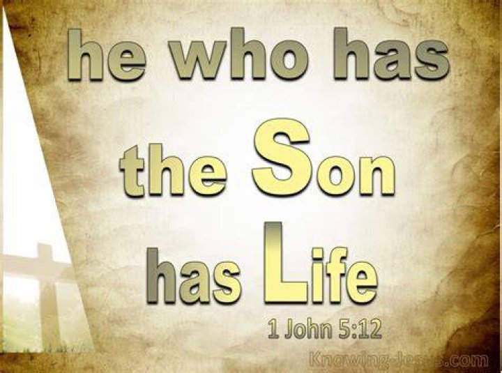 He that has the Son has life, and he that does not have the Son does