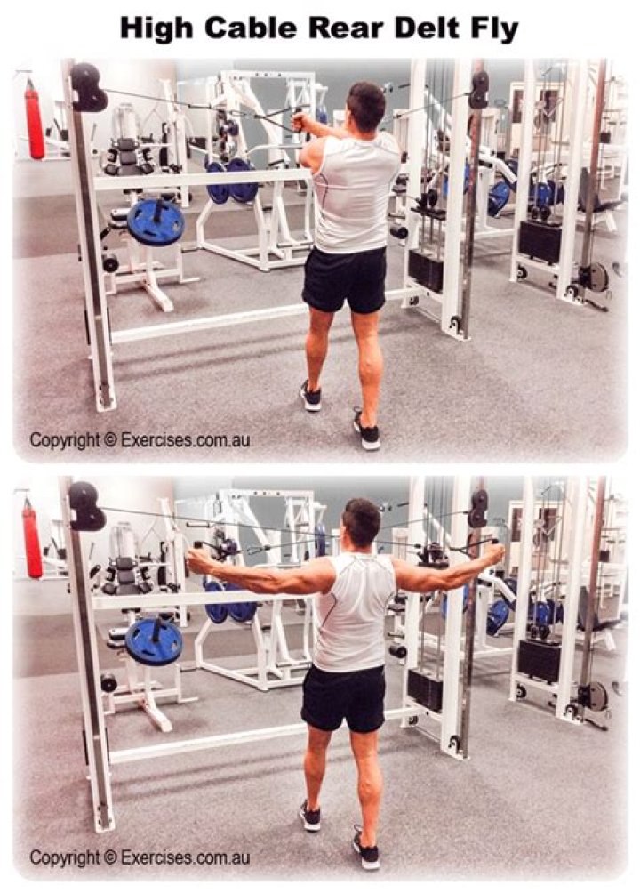 High Cable Rear Delt Fly YouTube
