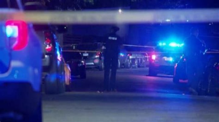 Hollie Strano DUI Arrest Video Gone Viral Arrested