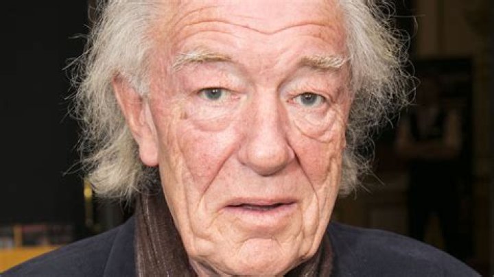 How many children did Sir Michael Gambon have? The Irish Sun