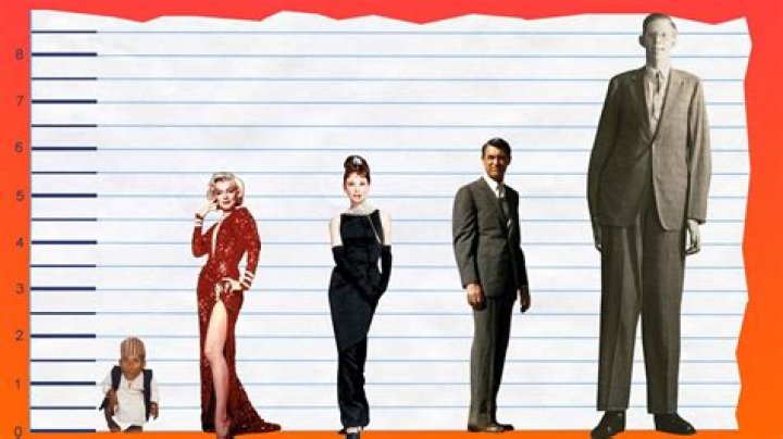 How Tall Is Marilyn Monroe? Height Comparison! YouTube